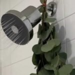 1. Jolie Filtered Showerhead